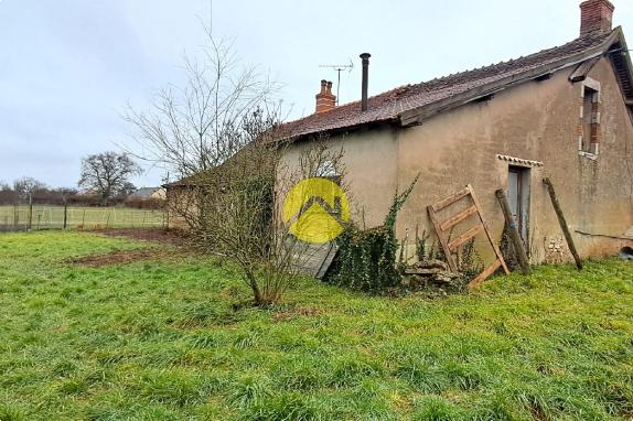 Proche de la forêt de Tonçais