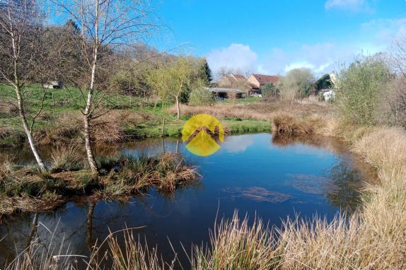 Propriété sur un hectare