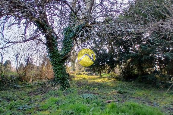 Magnifique terrain de loisirs 4075m2