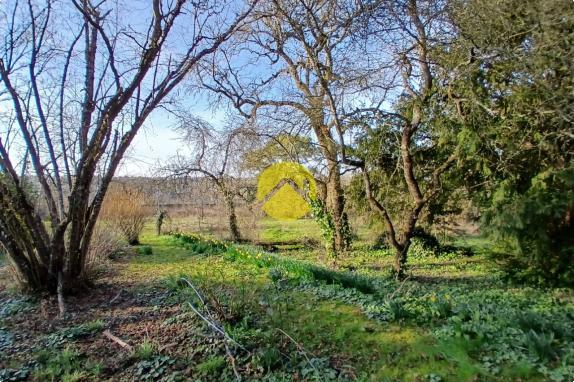 Magnifique terrain de loisirs 4075m2