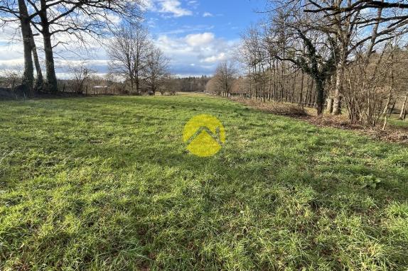 Terrain 6060m² constructible sur 1479m²