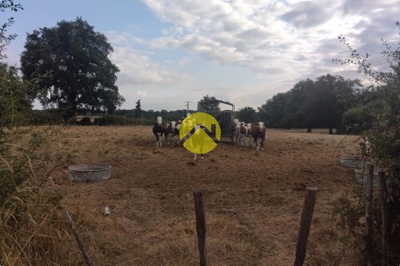 Pas de voisin à 100m à la ronde