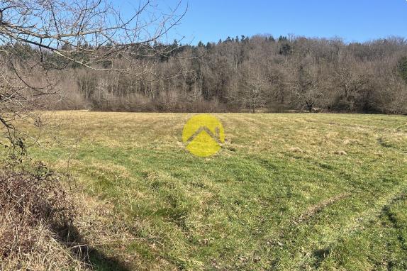 Terrain plat de 21 521 m² dont 2 484.55m² constructible