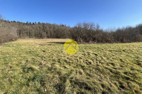 Terrain plat de 21 521 m² dont 2 484.55m² constructible