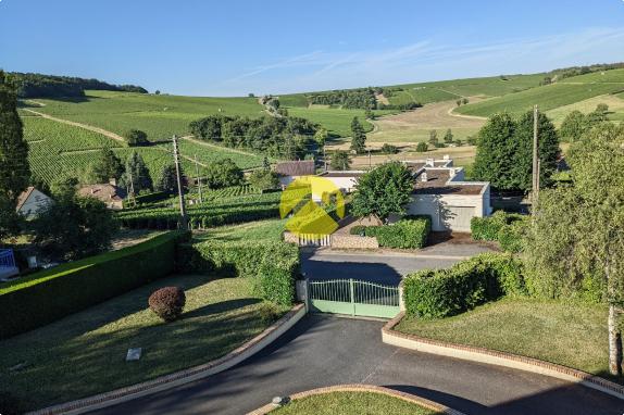 Au coeur du vignoble sancerrois