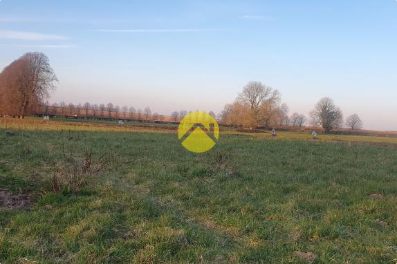 Terrain en bordure de fôret 