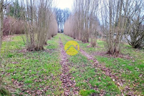 AU BOUT DU CHEMIN