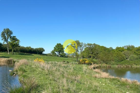 TERRAIN CONSTR 3,3HA ET 2 ETANGS