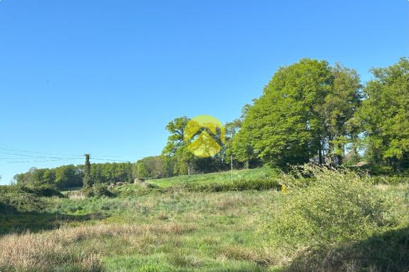 TERRAIN CONSTR 3,3HA ET 2 ETANGS