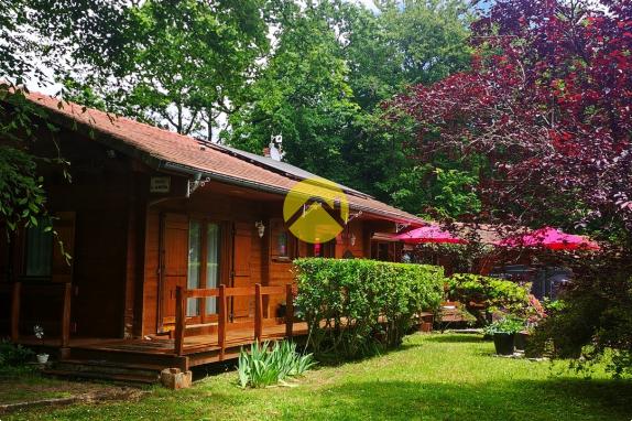Maison  en bois avec piscine