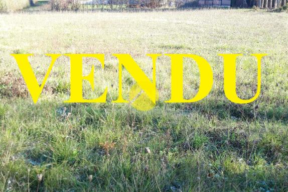 TERRAIN CONSTRUCTIBLE 1560 M2