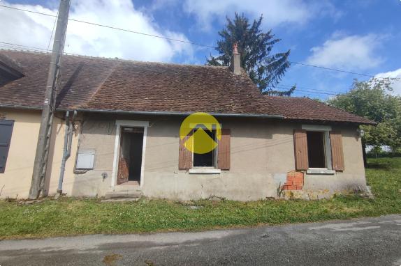Fermette / Longere  jusqu'à 1 Ha Vailly sur sauldre, 3 pièces à vendre
