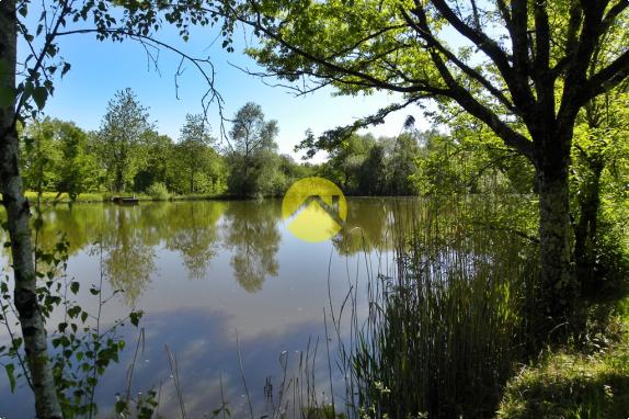 EN PLEINE NATURE