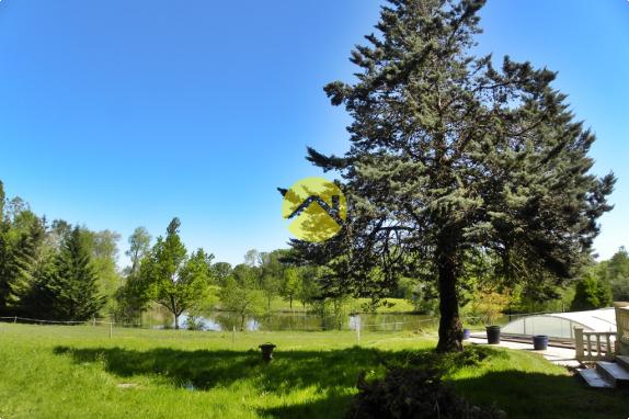 EN PLEINE NATURE