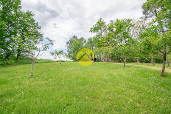 Magnifique maison sur 2.7Ha