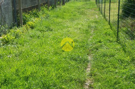 AU BOUT DU CHEMIN LA TRANQUILITE