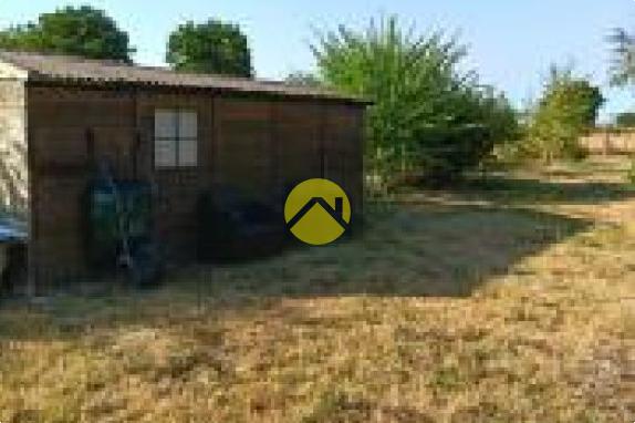 maison bord de route