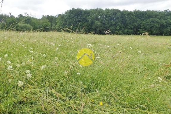 PARCELLES AGRICOLES ET BOIS