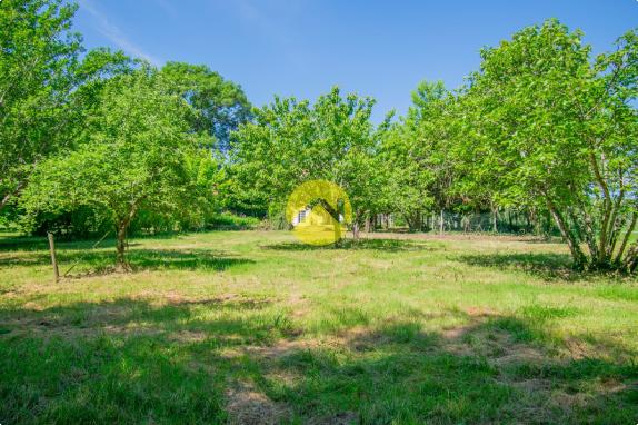 Périgourdinne au bord de la Vézère