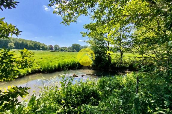 Chalet en pleine nature