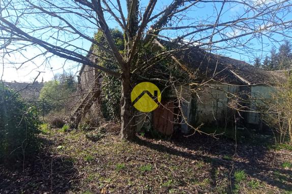 Dans un cadre Bucolique 