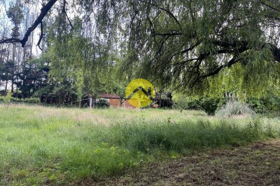 PROPRIETE SUR 2HA - ETANG - MAISON 