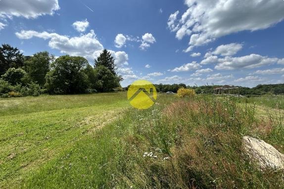 TERRAIN VIABILISE 1 HA BOISE