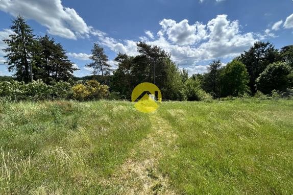 TERRAIN VIABILISE 1 HA BOISE