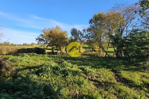 MAISON EN CAMPAGNE