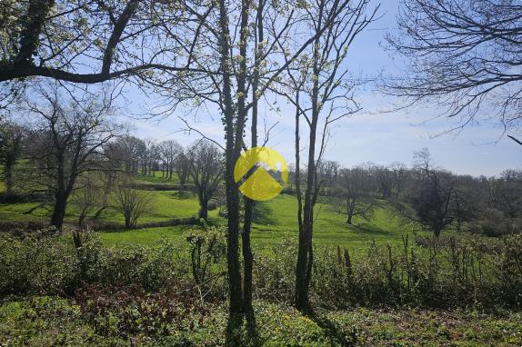 MAISON EN CAMPAGNE