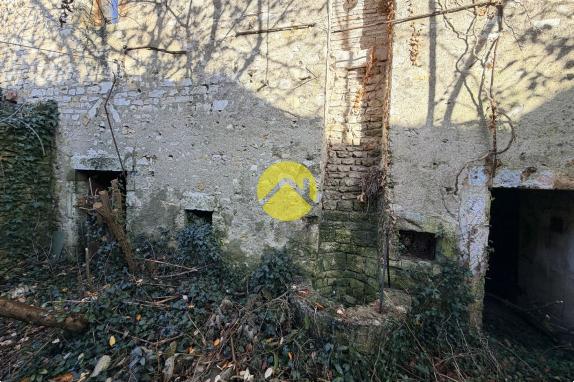 Maison de ville avec jardin