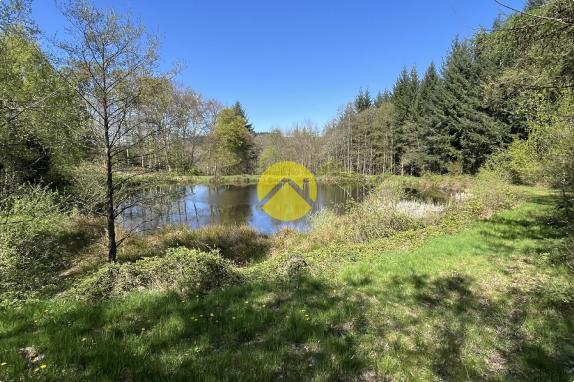 Propriété avec terrain et étang