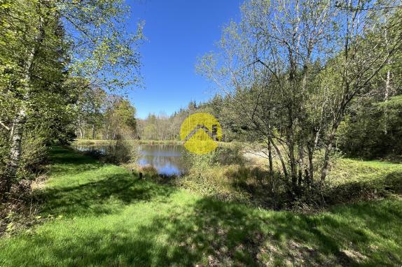 Propriété avec terrain et étang