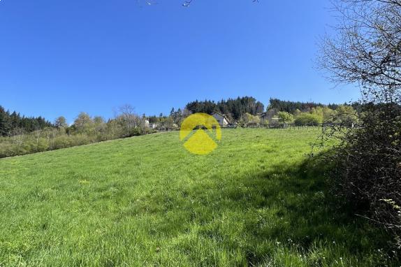 Propriété avec terrain et étang