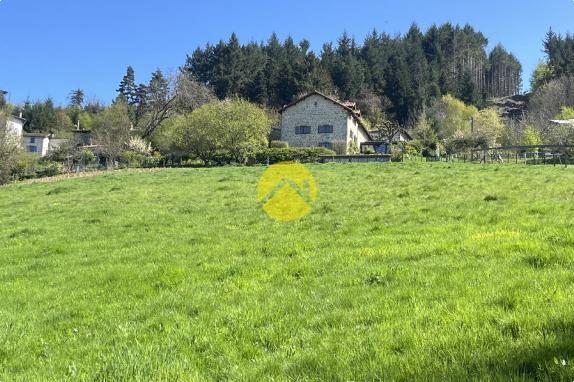 Propriété avec terrain et étang