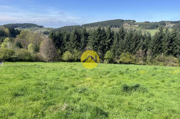 Propriété avec terrain et étang