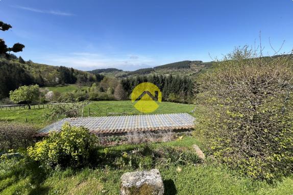 Propriété avec terrain et étang