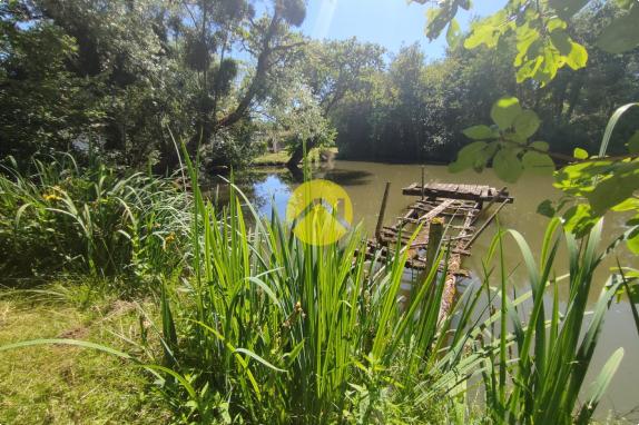 Longère dans son cadre bucolique