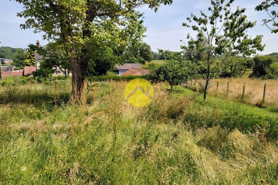 rare ensemble immobiler sur 8836m²