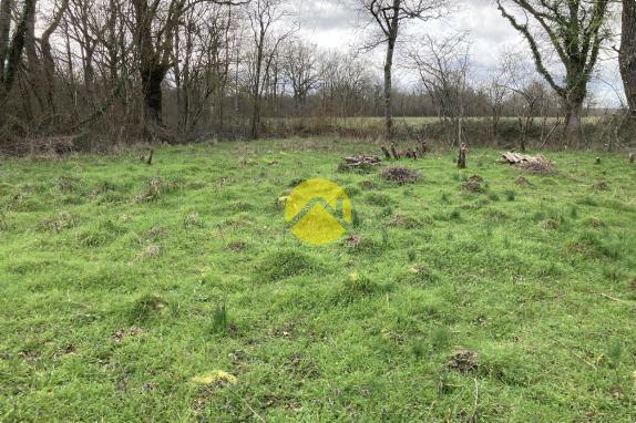 LONGERE DU BOUT DU MONDE