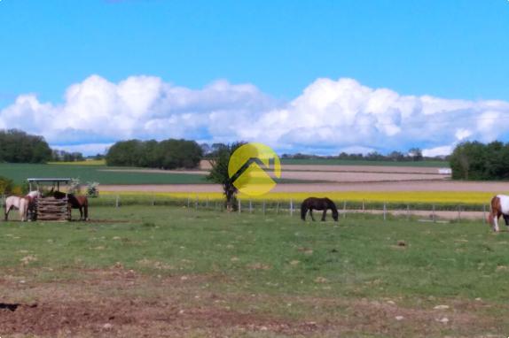 Charmante Propriété équestre
