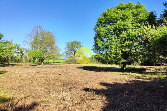 TERRAIN CAMPAGNE BERRICHONNE