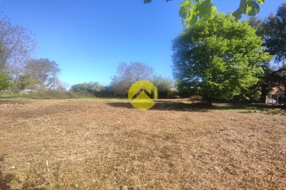 TERRAIN CAMPAGNE BERRICHONNE