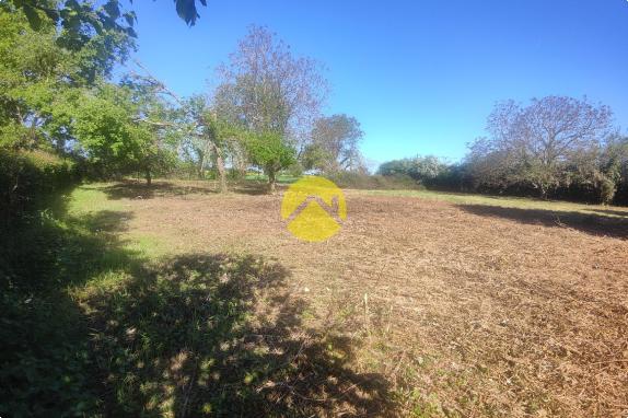 TERRAIN CAMPAGNE BERRICHONNE