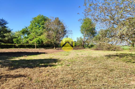 TERRAIN CAMPAGNE BERRICHONNE