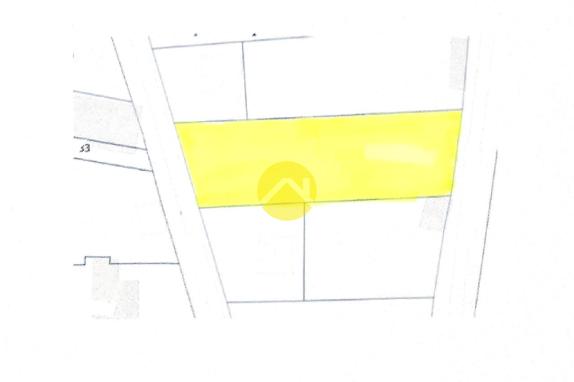 TERRAIN