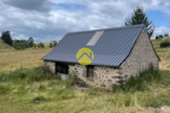 Propriété Agricole Pierrefort, 40m2 à vendre