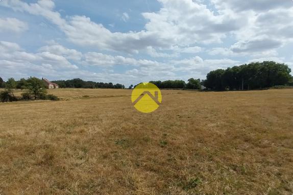 7 HECTARES POUR VOUS !