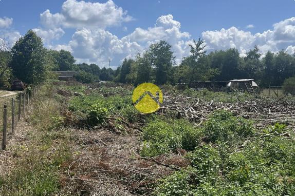 Terrain à Bâtir Nouan le fuzelier, m2 à vendre