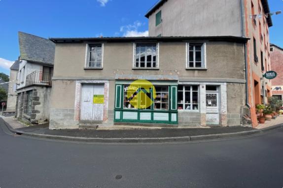 APPARTEMENT LOCAL COMMERCIAL 